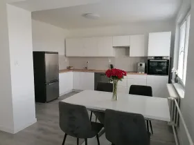 Pronájem bytu 3+kk, Šumice, 100 m2