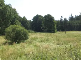 Prodej pole, Chodský Újezd - Nahý Újezdec, 13137 m2