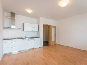 Pronájem bytu 1+kk, Praha - Michle, V dolině, 40 m2