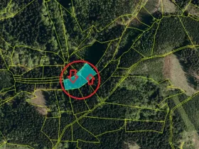 Prodej podílu lesa, Valašská Polanka, 1373 m2