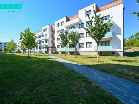 Pronájem bytu 2+kk, Olomouc - Nová Ulice, Třída Jiřího Pelikána, 55 m2