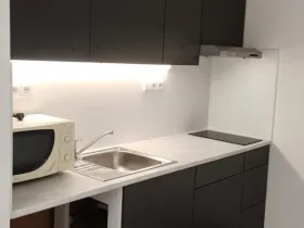 Pronájem bytu 1+kk, Brandýs nad Labem-Stará Boleslav - Brandýs nad Labem, Zahradnická, 34 m2