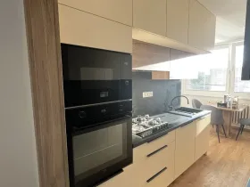 Pronájem bytu 2+1, Olomouc - Nová Ulice, Jílová, 54 m2