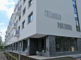 Pronájem bytu 2+kk, Ostrava, Pavlovova, 48 m2