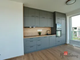 Pronájem bytu 2+kk, Plzeň - Bolevec, Krašovská, 53 m2