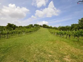 Prodej sadu/vinice, Bzenec, 2460 m2