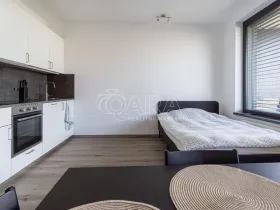 Pronájem bytu 1+kk, Praha - Žižkov, Olgy Havlové, 33 m2