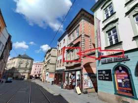 Pronájem bytu 1+1, Olomouc, Kačení, 55 m2