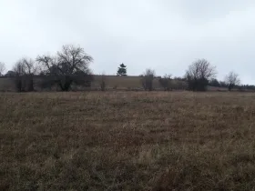 Prodej pole, Teplice nad Metují - Dolní Teplice, 25028 m2