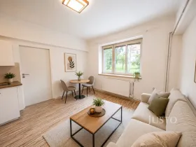 Prodej bytu 2+kk, Liberec - Liberec II-Nové Město, Metelkova, 45 m2