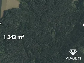 Prodej lesa, Římov, 1365 m2