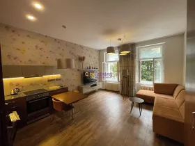 Pronájem bytu 1+kk, Praha - Vinohrady, Jana Masaryka, 52 m2
