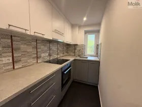 Pronájem bytu 3+1, Litvínov - Horní Litvínov, Ladova, 63 m2