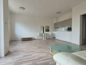 Pronájem bytu 1+kk, Brno, Kigginsova, 42 m2