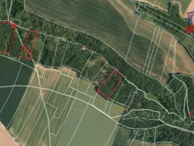 Prodej lesa, Chorušice - Velký Újezd, 58553 m2