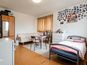 Pronájem pokoje, Havlíčkův Brod, Na Losích, 20 m2