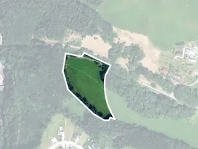 Prodej louky, Trutnov, Dolnoměstská, 18213 m2