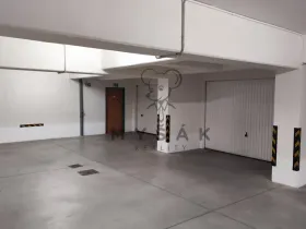Pronájem garáže, České Budějovice - České Budějovice 3, U Trojice, 20 m2