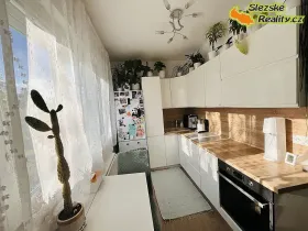 Prodej bytu 2+1, Kladno, Vitry, 54 m2