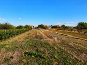 Prodej pozemku pro bydlení, Lanžhot, Školní, 616 m2