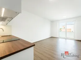 Pronájem bytu 1+kk, Olomouc - Nová Ulice, Třída Jiřího Pelikána, 39 m2