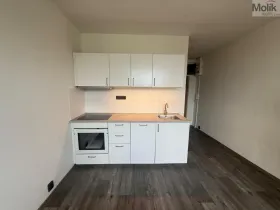 Pronájem bytu 1+1, Most, Marš. Rybalka, 35 m2