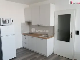 Pronájem bytu 1+kk, Praha - Střížkov, Děčínská, 32 m2