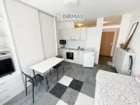 Pronájem bytu 1+kk, Plzeň - Východní Předměstí, Částkova, 22 m2
