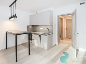Pronájem bytu 1+kk, Praha - Hloubětín, Poděbradská, 32 m2