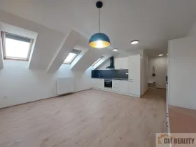 Pronájem bytu 1+kk, Olomouc - Hodolany, Holická, 38 m2