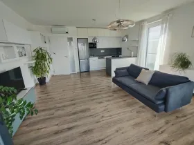 Pronájem bytu 2+kk, Olomouc, Karla Mareše, 70 m2