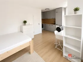 Pronájem bytu 1+kk, Opava - Kateřinky, Rolnická, 25 m2