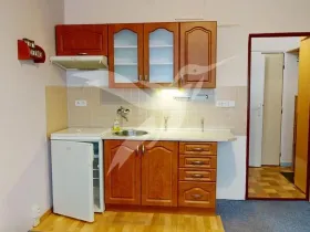 Pronájem bytu 1+kk, Plzeň, Skupova, 20 m2