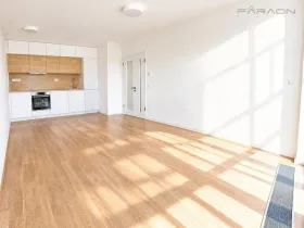 Pronájem bytu 2+kk, Praha - Karlín, Švarcova, 55 m2