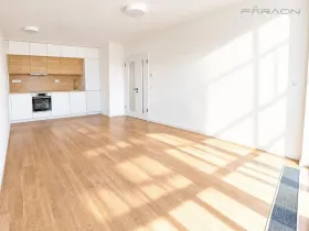 Pronájem bytu 2+kk, Praha - Karlín, Švarcova, 55 m2