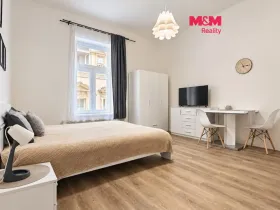Pronájem bytu 1+kk, Praha - Nové Město, Petrská, 30 m2