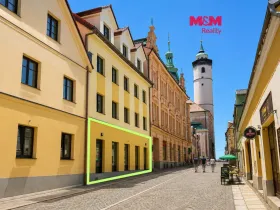 Pronájem restaurace, Domažlice, Kostelní, 244 m2