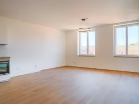 Pronájem bytu 1+kk, Silůvky, Anenská, 40 m2