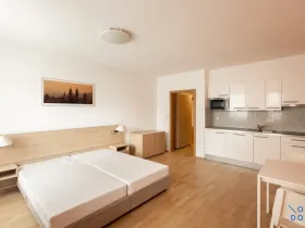 Pronájem bytu 1+kk, Praha - Žižkov, Kališnická, 32 m2
