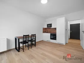 Pronájem bytu 1+kk, Brno - Zábrdovice, Bratislavská, 24 m2