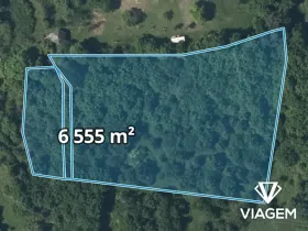 Prodej podílu lesa, Žitenice, 1311 m2