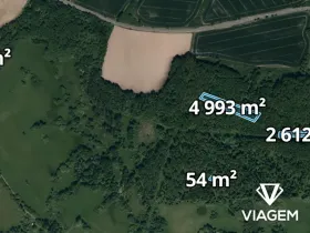 Prodej lesa, Kravaře, 7896 m2