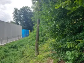 Prodej lesa, Rychnov nad Kněžnou, 3801 m2