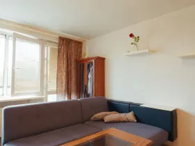 Prodej bytu 1+1, Ostrava, 29. dubna, 44 m2