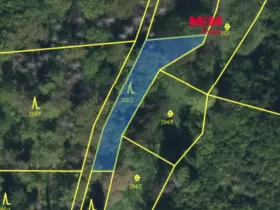 Prodej lesa, Řepníky, 562 m2