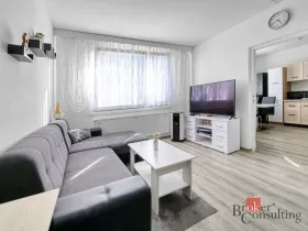 Prodej bytu 1+1, Plzeň - Bolevec, Manětínská, 39 m2