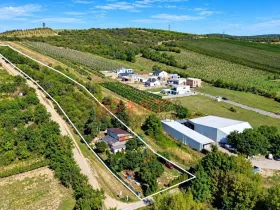 Prodej pozemku pro bydlení, Hustopeče, Havlíčkova, 7968 m2