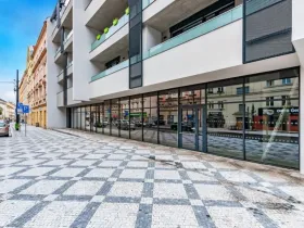 Prodej obchodního prostoru, Praha - Nusle, Nuselská, 303 m2