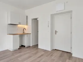 Prodej bytu 1+kk, Praha - Záběhlice, 16 m2