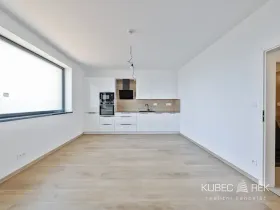 Prodej bytu 2+kk, Veselí nad Lužnicí, Budějovická, 52 m2